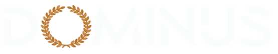 Dominus Baseball Logo